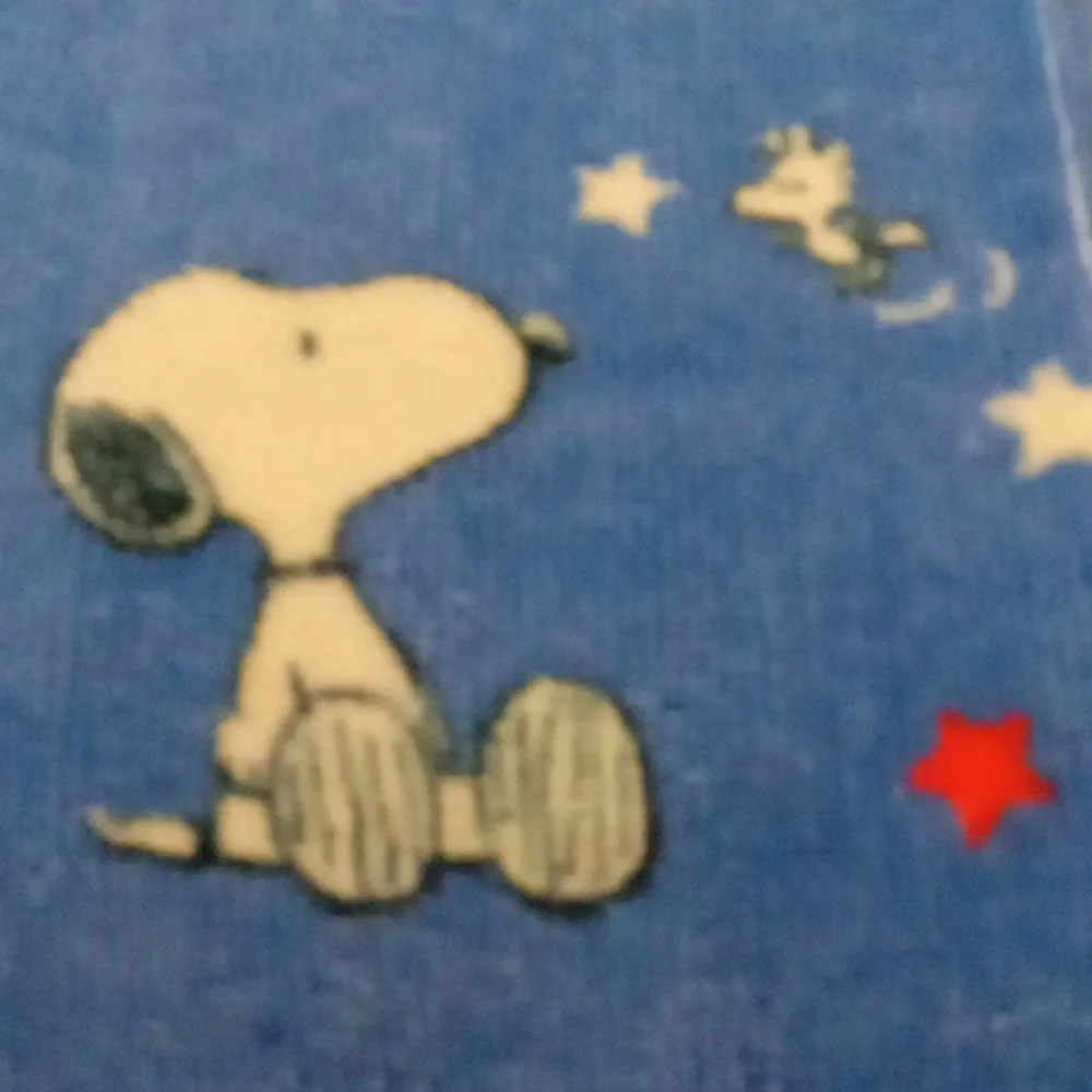 Peanuts 75 Yrs Shower Curtain & Hand Towel Set